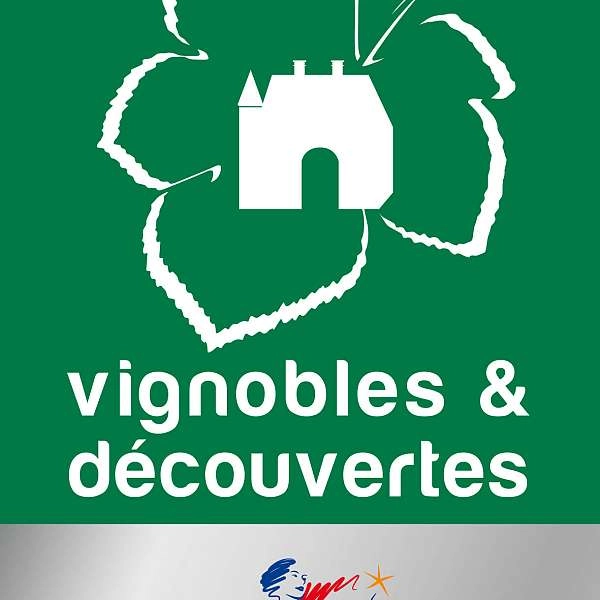 Destination Vignoble - IT